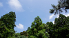 camp29 (859)_thumb.png